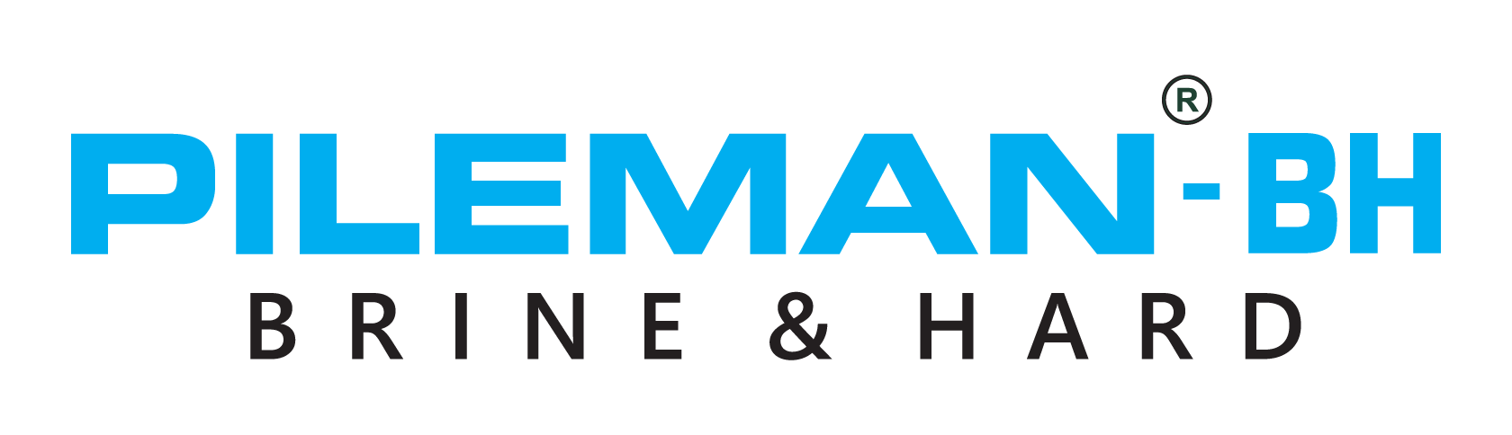 Pileman BH bentonite for brine and hard water