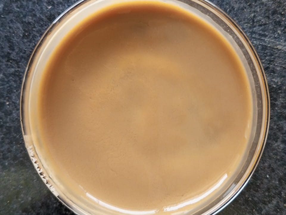 A bentonite filter cake holding its shape in a vertical petri dish